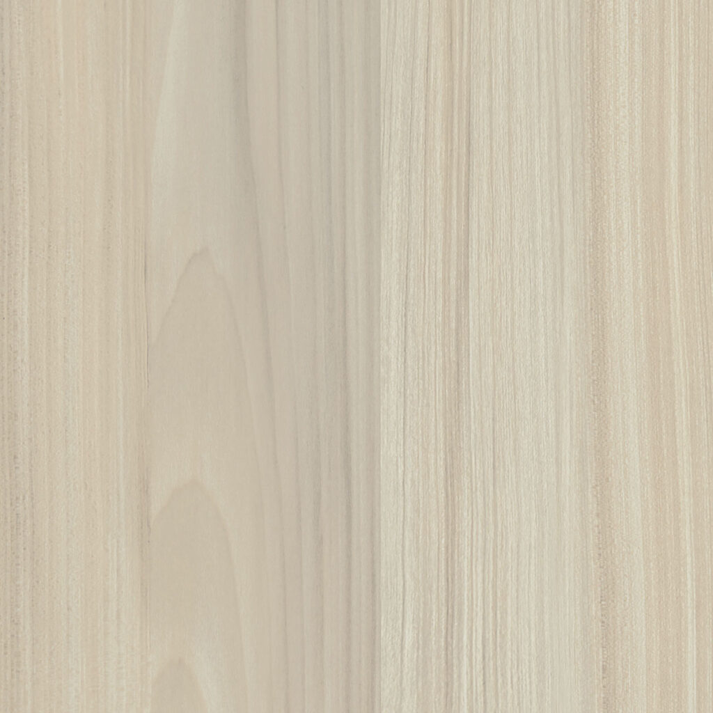 M 6347 Gentle Maple