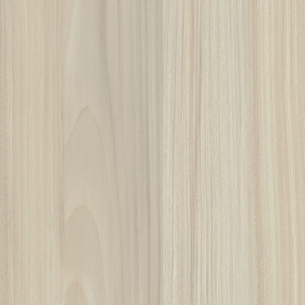 M 6347 Gentle Maple