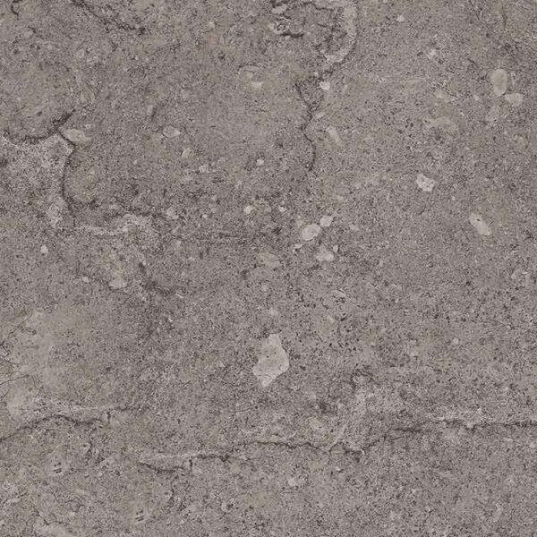 F 2320 Fossil Brown