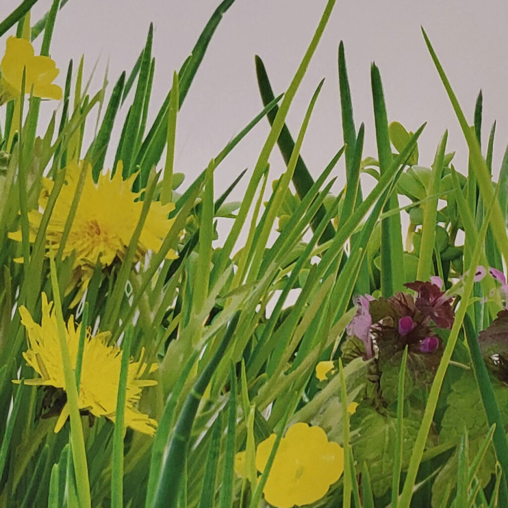 Alu Dibond-Rückwände Greenfield