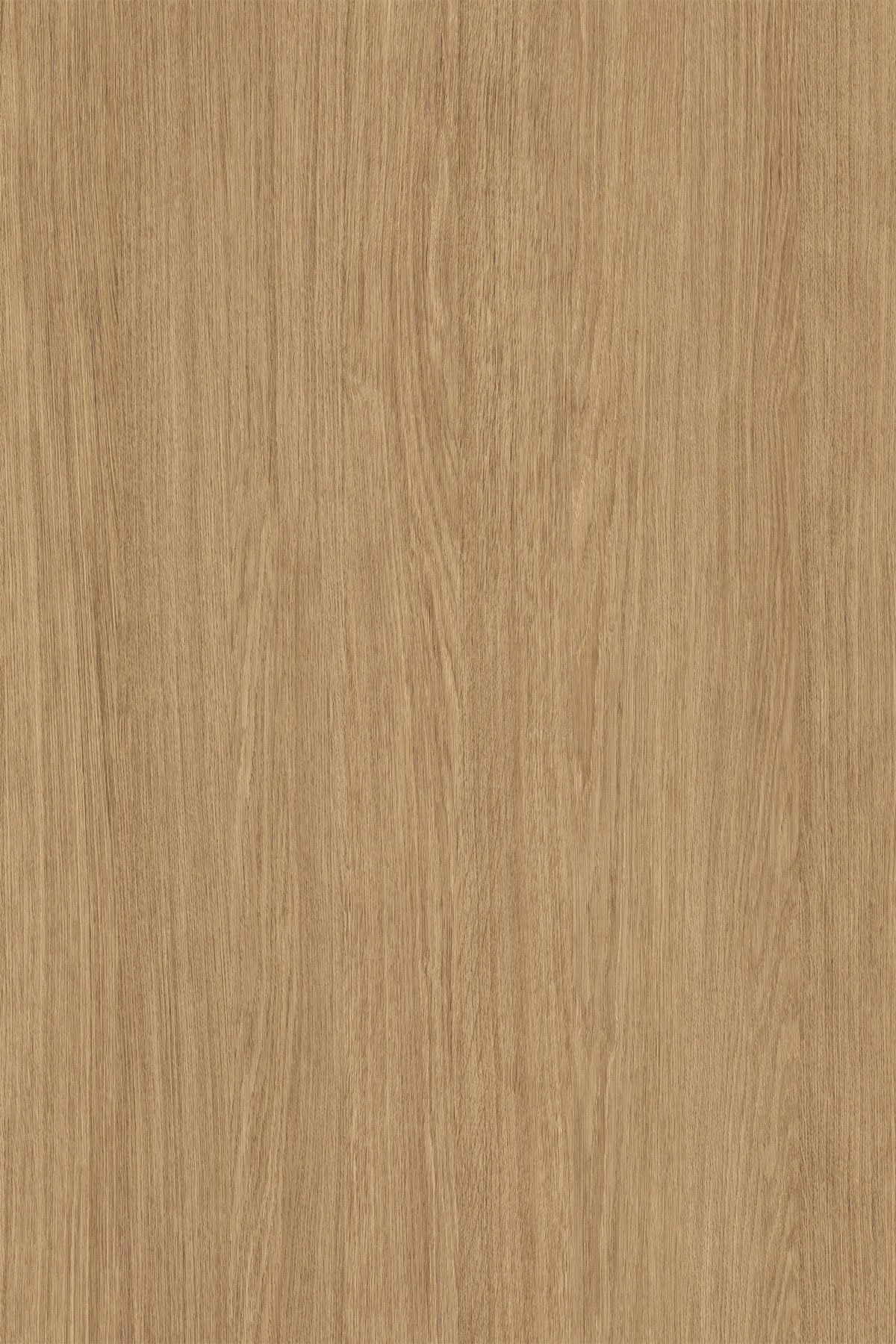 K695gr-Straw-Primavera-Oak