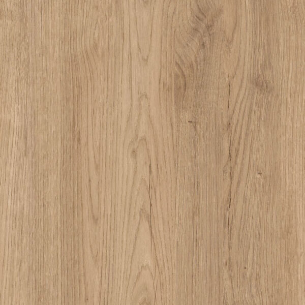 M 6263 Salerno Oak Golden