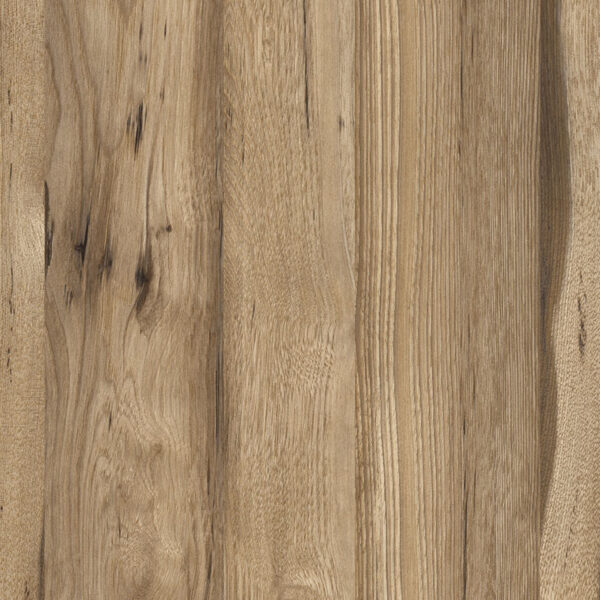 M 6325 Kingdom Oak