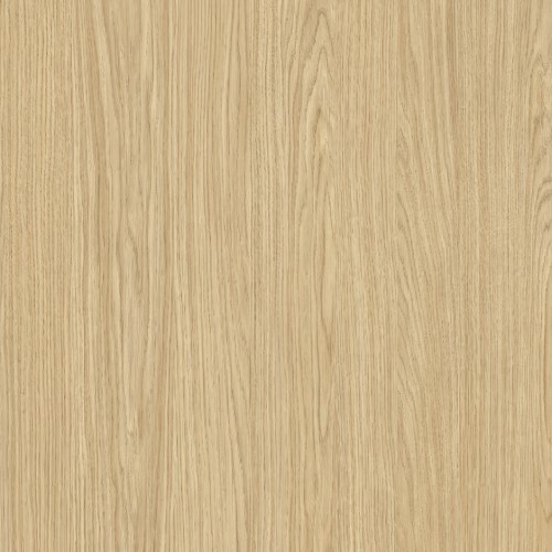 M 6363 Olivia Oak