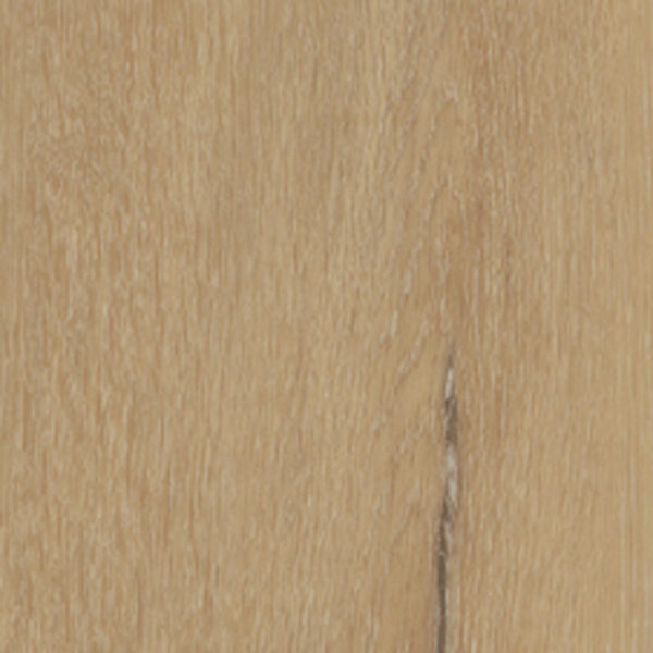 V-solid Pro Waito Eiche