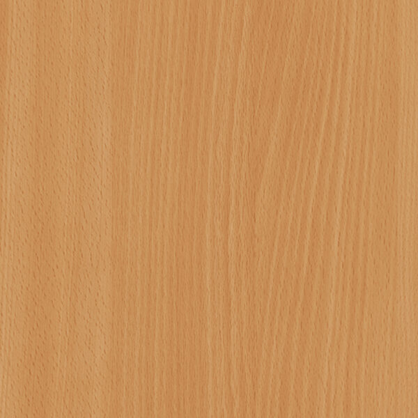 M 2112 Pien Beech