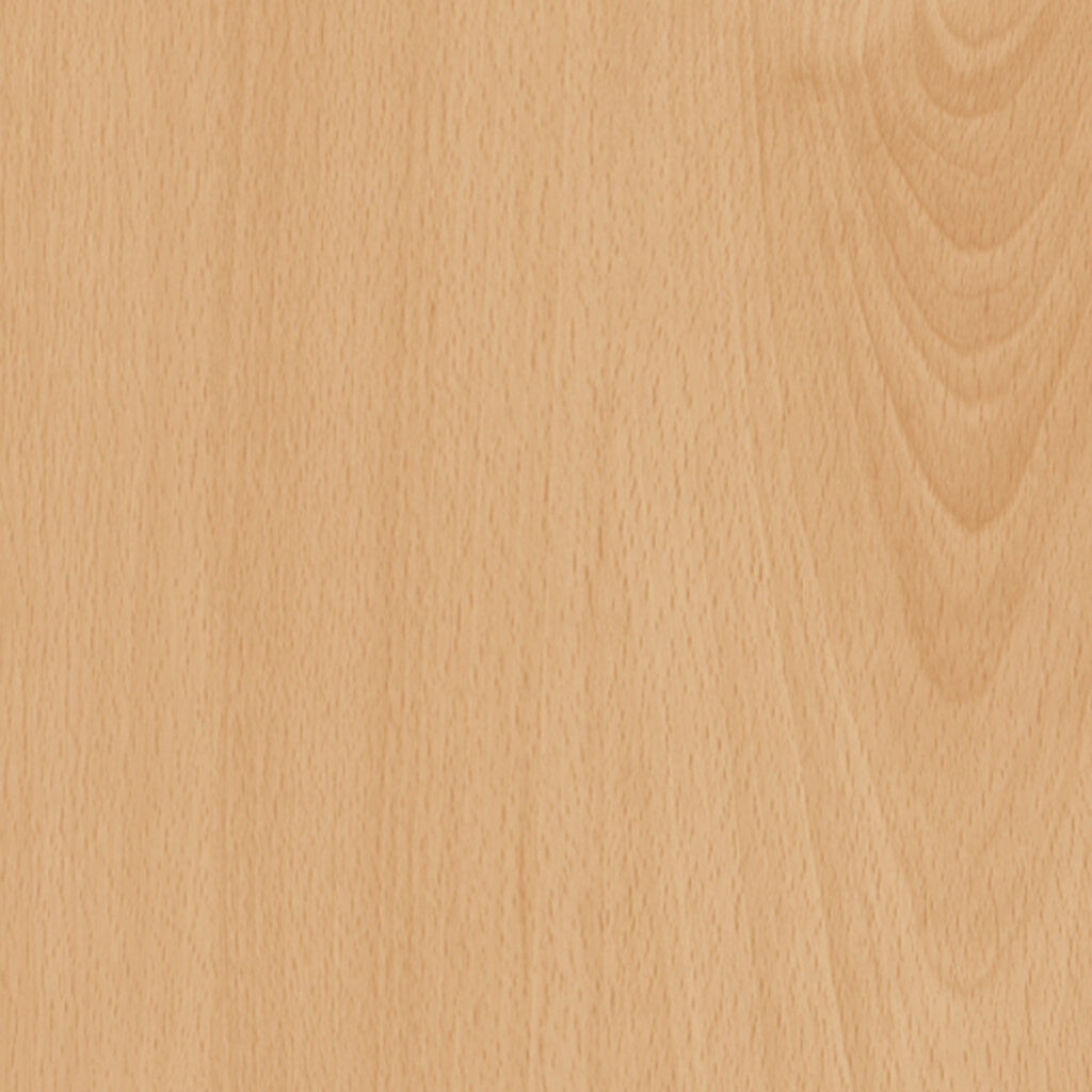 M 3247 Woodland Beech