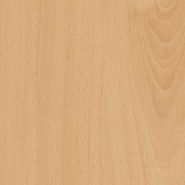 M 3247 Woodland Beech