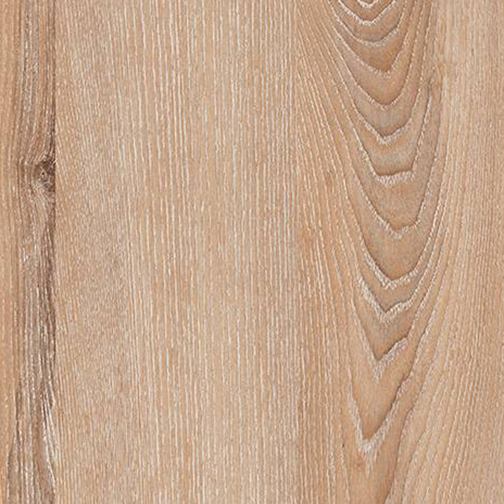 M 3892 Messina Oak