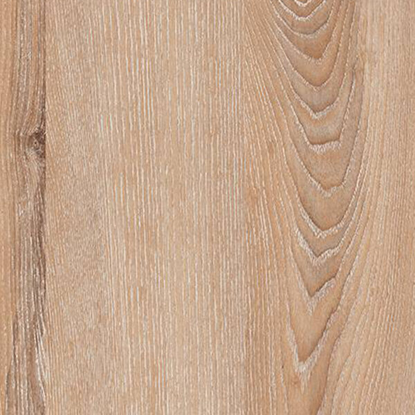 M 3892 Messina Oak