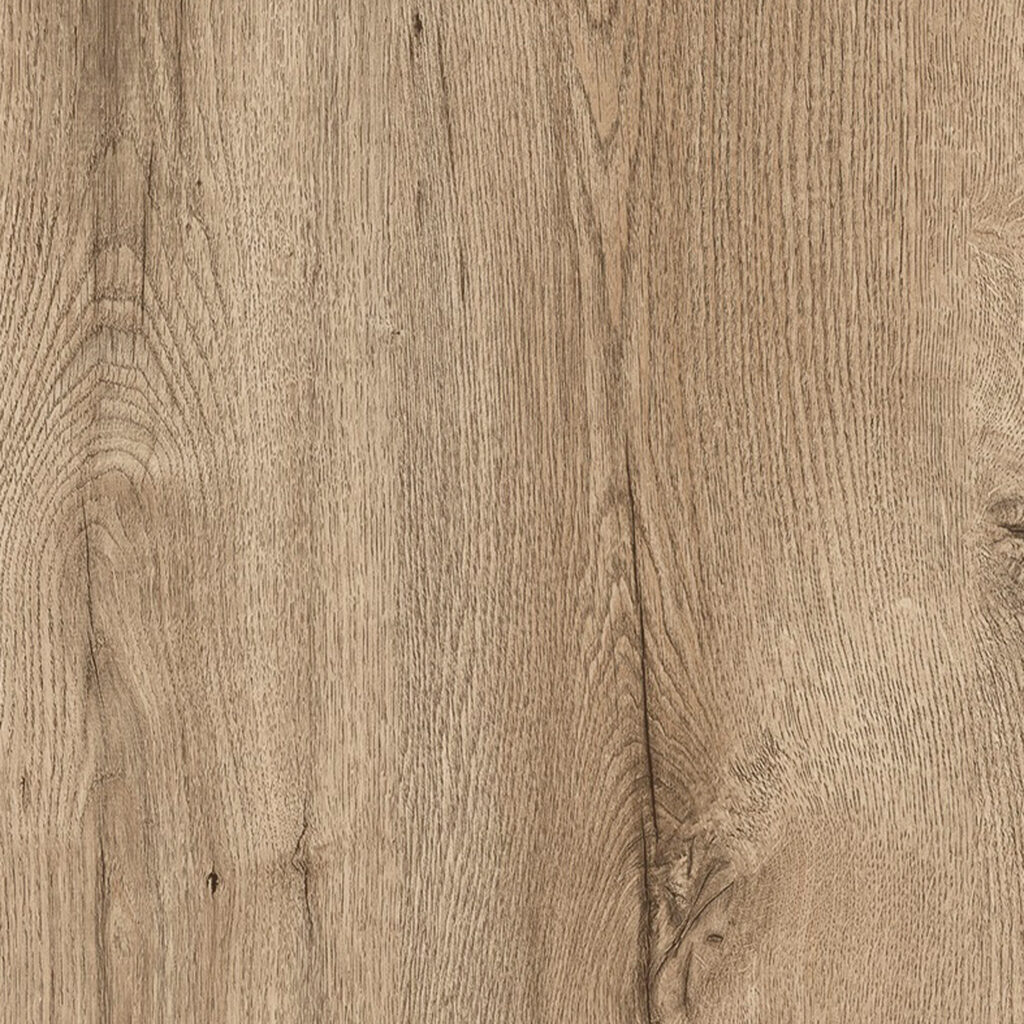 M 6280 Sanctuary Oak