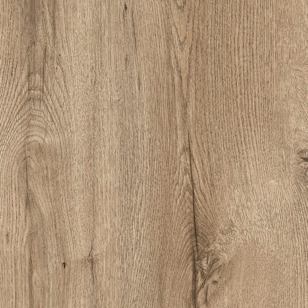 M 6280 Sanctuary Oak
