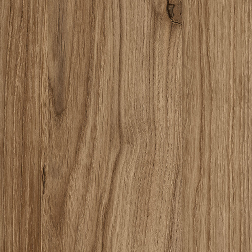 M 6304 Etna Oak