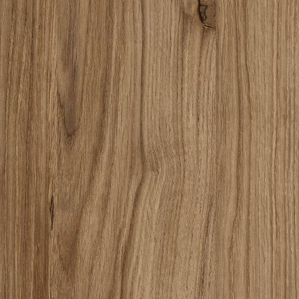 M 6304 Etna Oak