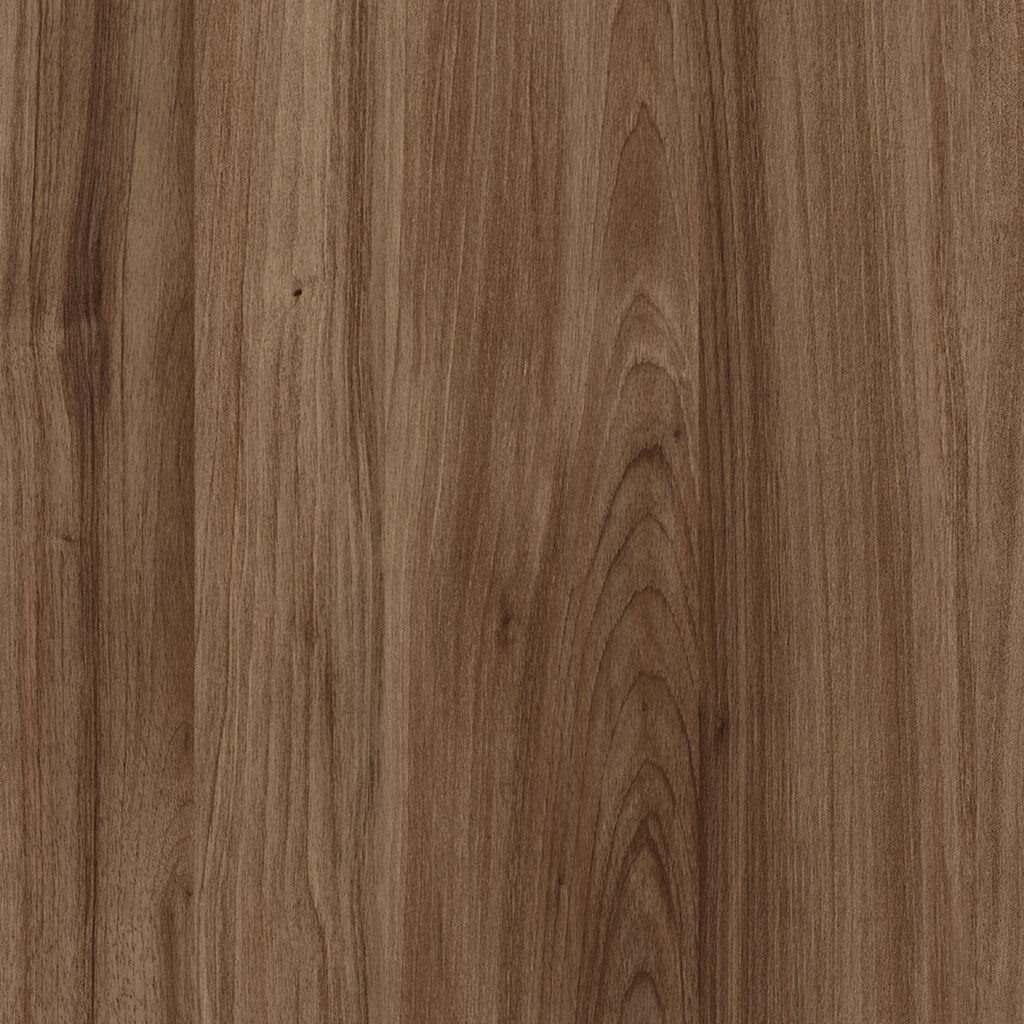M 6313 Exquisite Dark