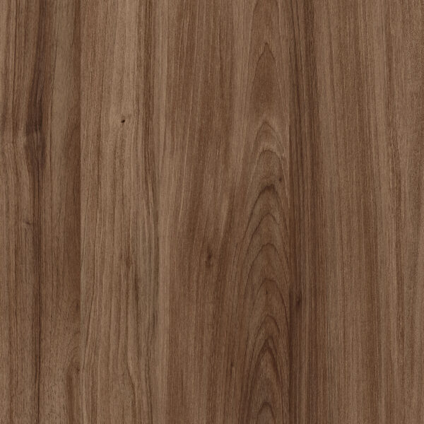 M 6313 Exquisite Dark