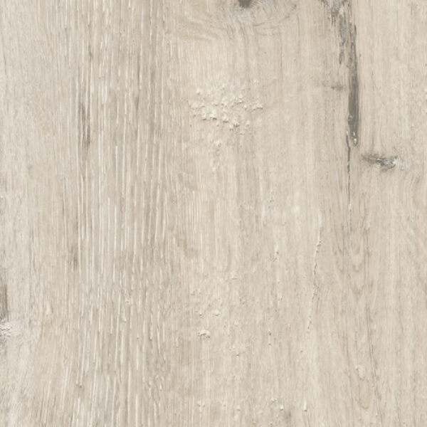 M 9275 Amundsen Oak